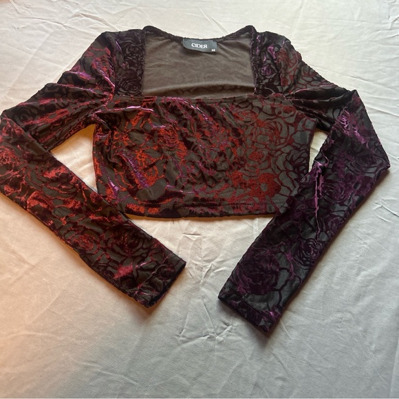 Cider Tops - CIDER Women’s Size XS VELVET SQUARE NECK ROSE LONG SLEEVE CROP TOP